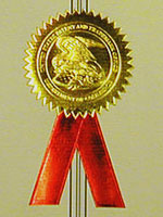 Patent Seal with ribbon on document