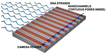 Nano pore technology for DNA sequencing