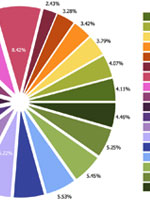 Pie chart graphic