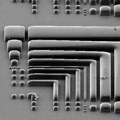 Hayden Taylor UC Berkeley Microfluidic Device